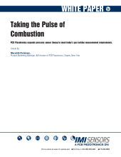 wpl_51_taking the pulse of combustion.pdf